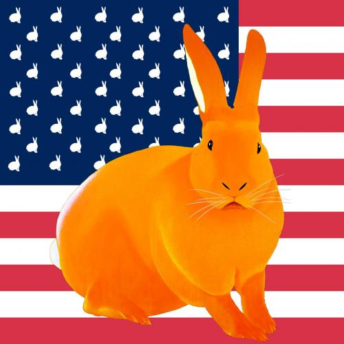 ORANGE FLAG rabbit flag Showroom - Inkjet on plexi, limited editions, numbered and signed. Wildlife painting Art and decoration. Click to select an image, organise your own set, order from the painter on line